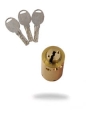 IKON-ABLOY-W10-cylinder-1.jpg